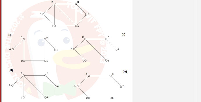 MAD101_SU24_FE_127781_1 - (Choose 1 answer)   Using depth-first search to produce a spanning tree for the given simple