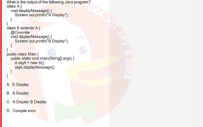 PRO192_SU24_FE2_616897_1 - (Choose 1 answer)   What is the output of the following Java program? class A { void displayMessage()