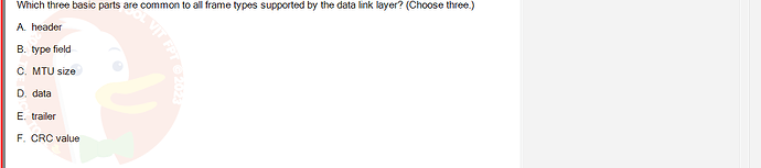 NWC204_SU24_FE_635748_1 - (Choose 3 answers)   Which three basic parts are common to all frame types supported by