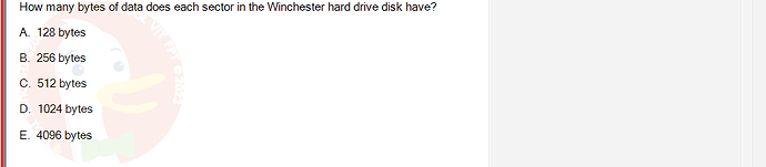 CEA201_SU24_RE_823913_1 - (Choose 1 answer)   How many bytes of data does each sector in the Winchester